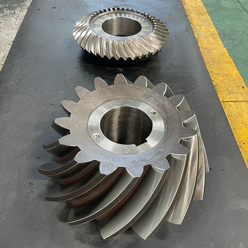 HB260-320 Hardness Worm Gear per applicazioni pesanti e profilo dentale preciso