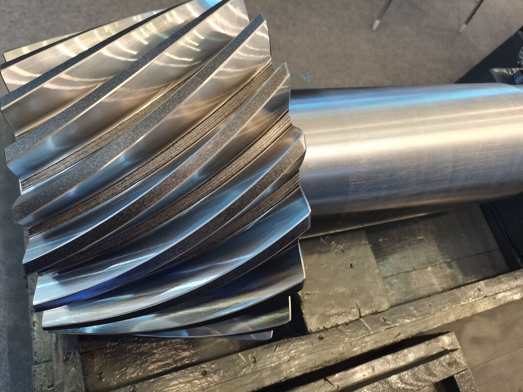 Ruida High Precision Customizable Spiral Bevel Gear per macchine trituratrici di grande diametro (50mm-2300mm)